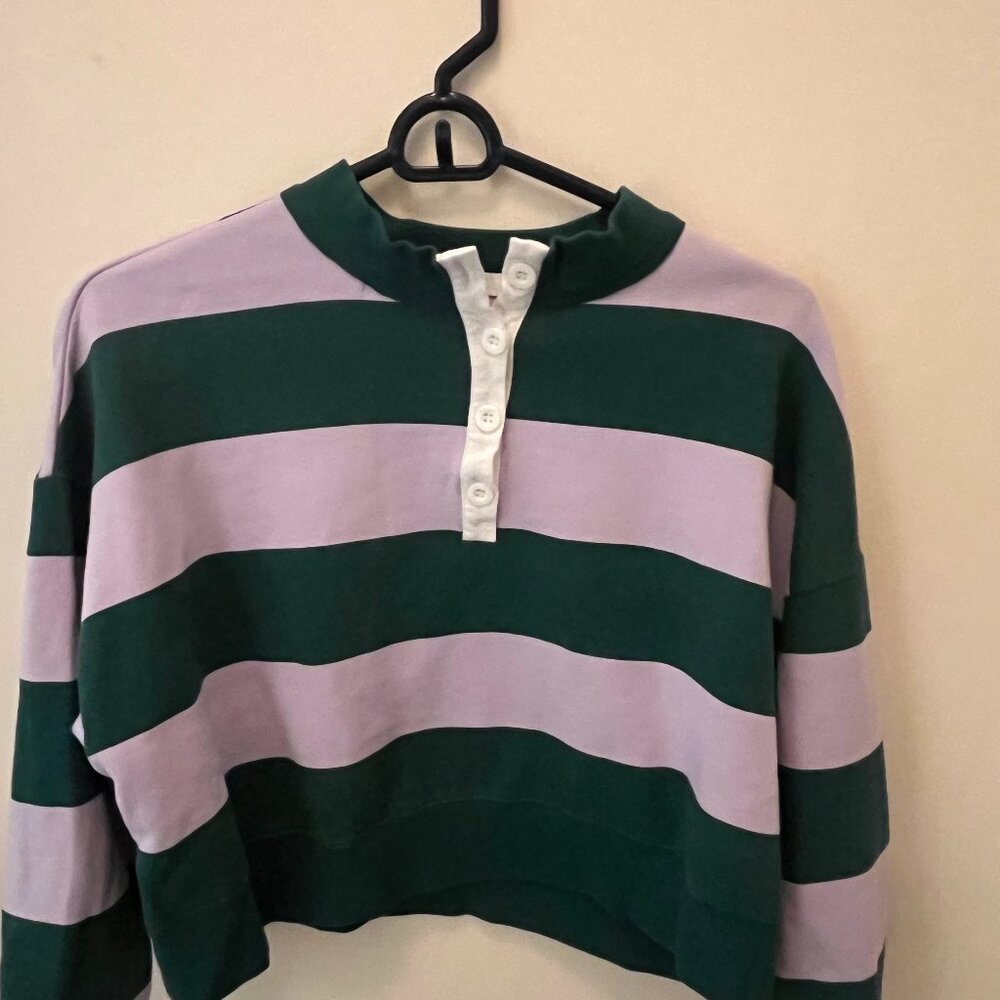 Cropped Striped Lavender and Green Sweatshirt from Nordstrom- Small